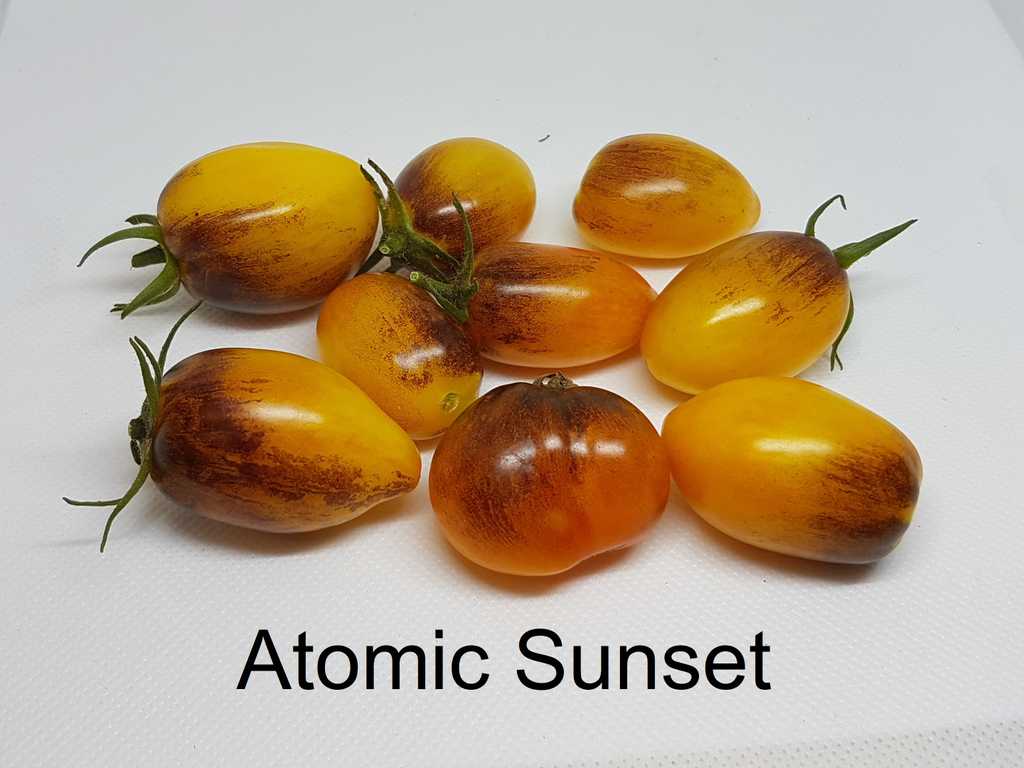 Atomic Sunset